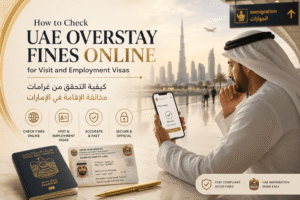 How to check UAE overstay fines online for visit and employment visas